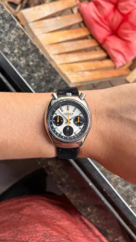Citizen Bullhead Panda Dial Chronograph Automático 1974?