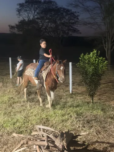 Piquira para Criança