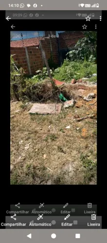 Terreno 