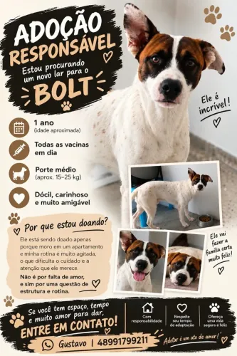 Doação de cachorro