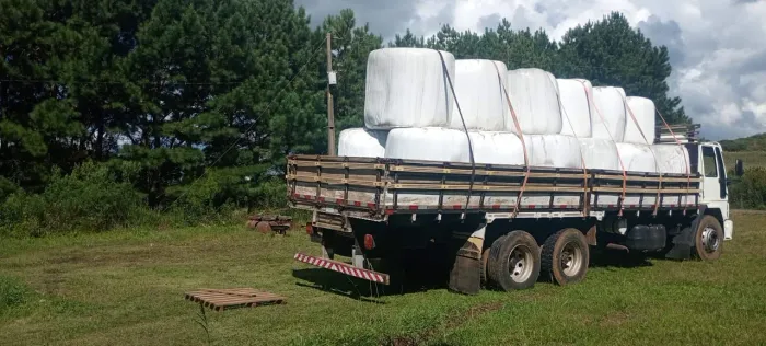  Corage ! Garçon de Vacas !  O Frio Chegou ! Pré Secado p/ Alimentação d Bovinos p/ S.C