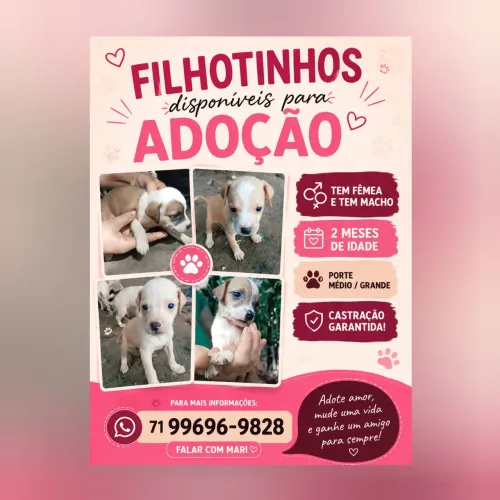 Filhote de cachorro para adoção