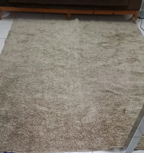 ? TAPETE SHAGGY OASIS - 2,00m x 3,00m