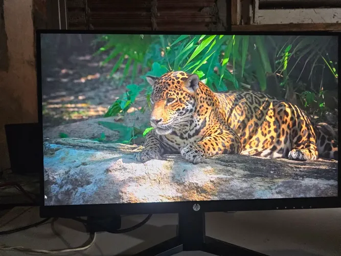 Monitor haiz 25 polegadas