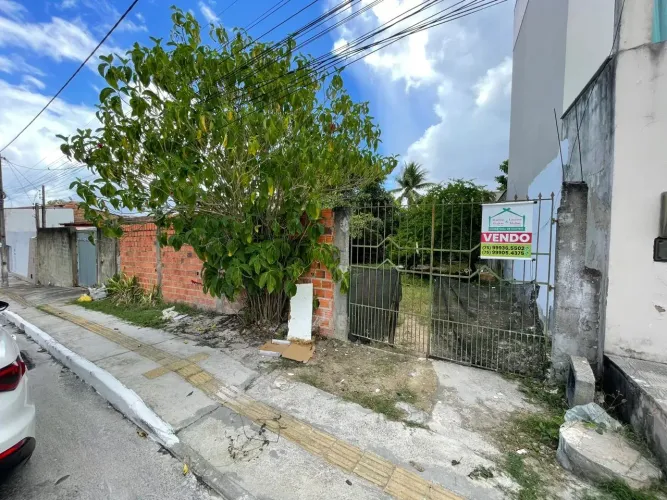 Terreno para venda, nascente com 214m2 em Alagoinhas Velha-Alagoinhas-Ba