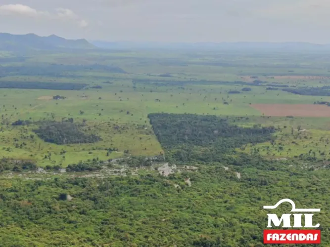 Fazenda 1.000 Alq. (4.840 Há) Santana do Araguaia PA
