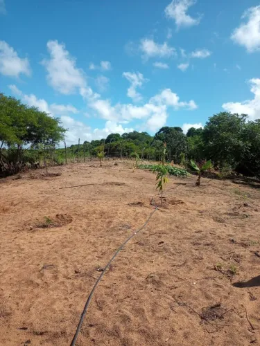 Oportunidade de comprar terreno próximo a praia de Genipabu
