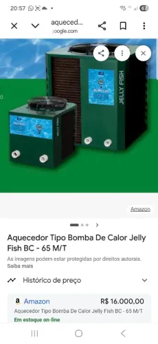 Aquecedor de piscina JElly FISh bc 65 ag