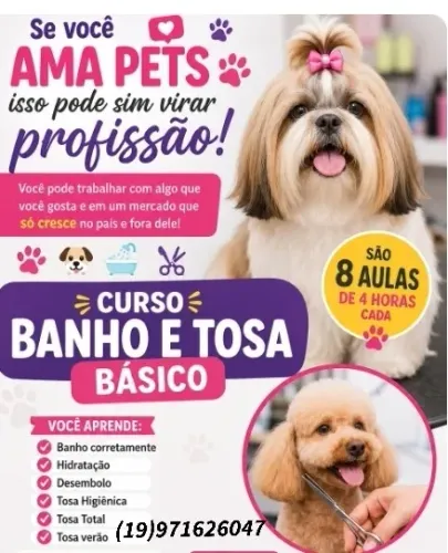 Curso Banho e tosa
