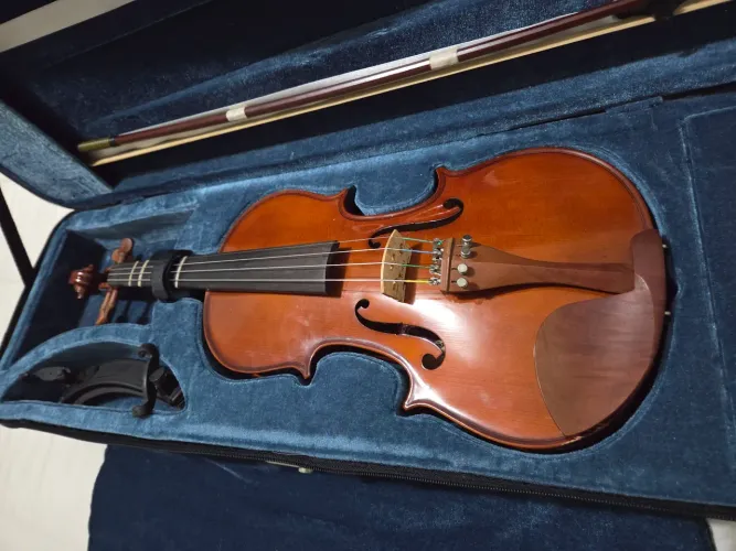 Violino Eagle 4/4 ve441