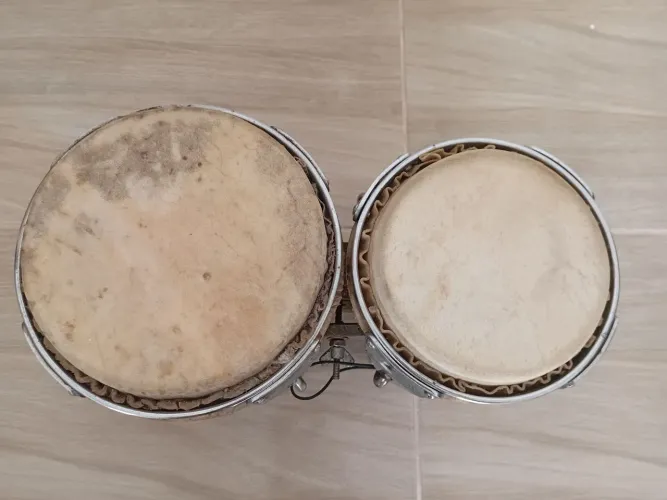 Bongô Raul/Bauer (percussão)