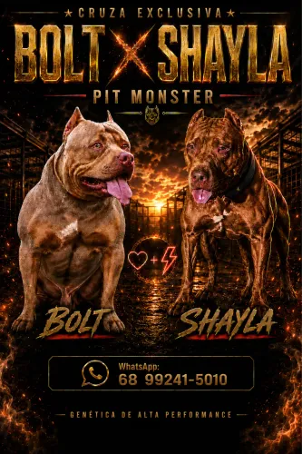 Filhotes de PIT MONSTER