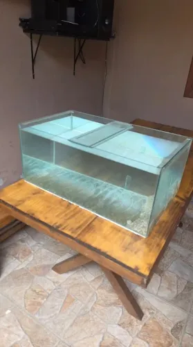 Aquario