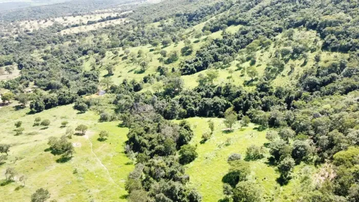 Fazenda para cria de gado, Marzagão Go