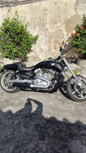 Harley Davidson Vrod muscle 2015 