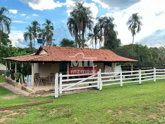 Sítio em Bela Vista de GO 4.62 alqueires (22.4 Ha)