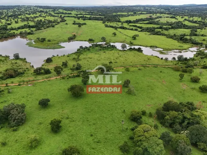 Fazenda 300 Alqueires (1.452 hectares) Amaralina - GO