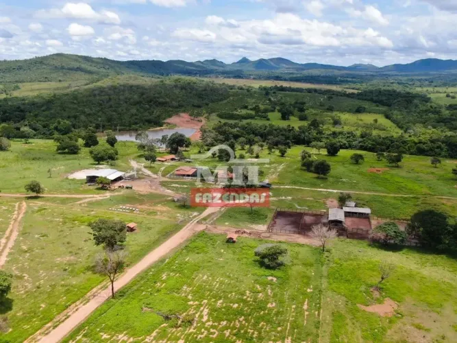 Fazenda 1286 alqueires ( 6.224 hectares) Parana - TO