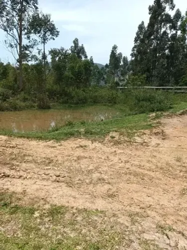 Vendo ou Arrendo Área rural em Aratingaúba Imaruí (58 hectares)