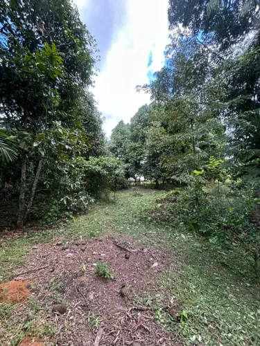 vendo terreno grande a 70m da principal
