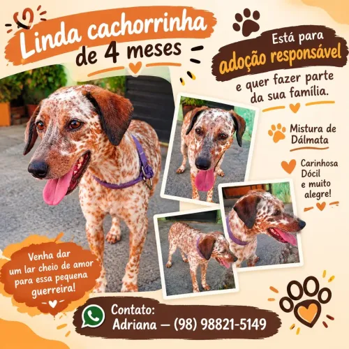 Doação responsável 