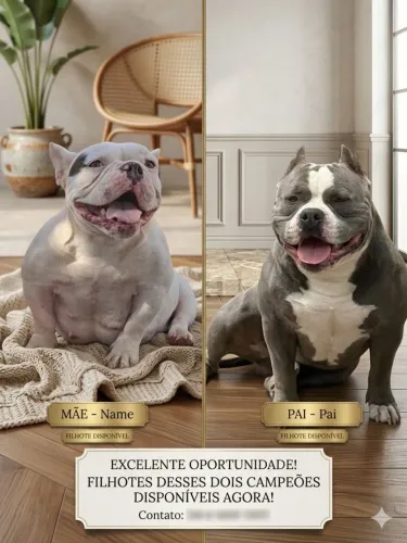 Filhotes Micro Bully