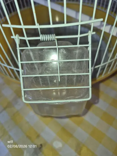 Gaiola