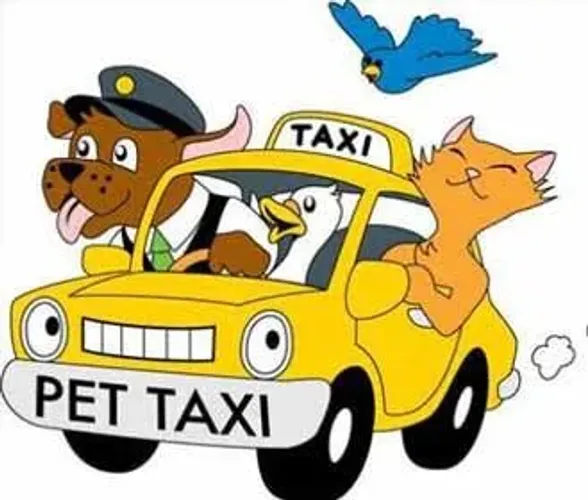 TÁXI DOG PARA PETS CAPITAL E INTERIOR 