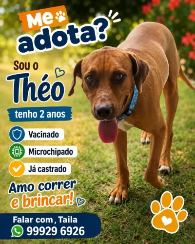 ADOTE O THÉO 