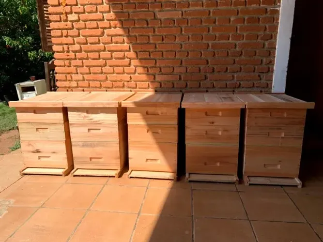 Caixa de Abelha Langstroth - Perfeita para Apicultura!