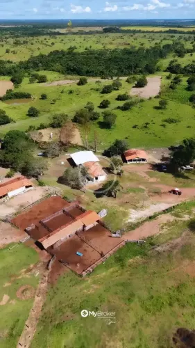 Sua propriedade rural com a rentabilidade do seu sonho! codigo: 159994