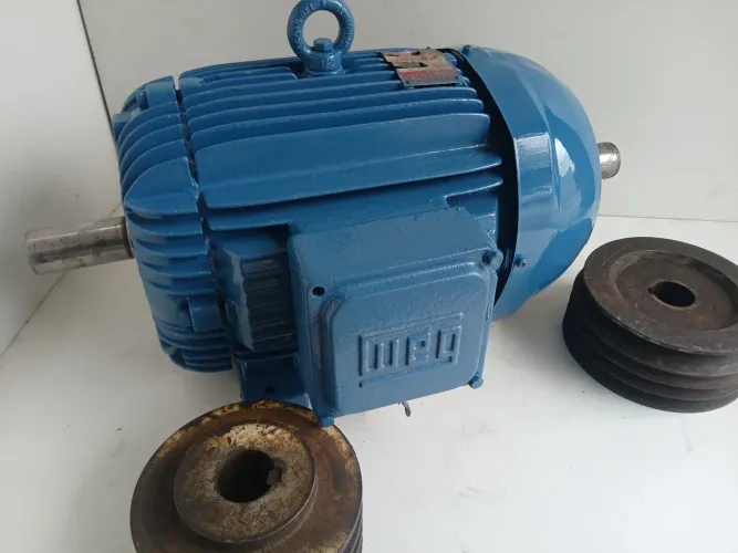 Motor elétrico weg Trifásico 10 cv 4 pólos eixo duplo 