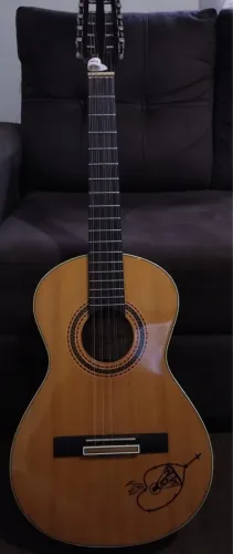 Viola Caipira Terra Brasil 