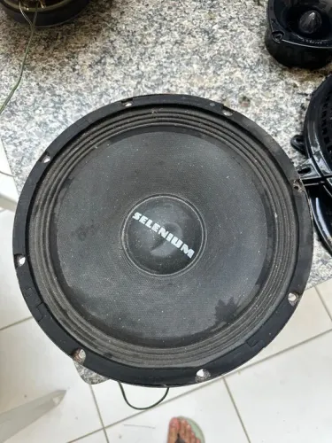 2 Woofer Selenium 10pw3