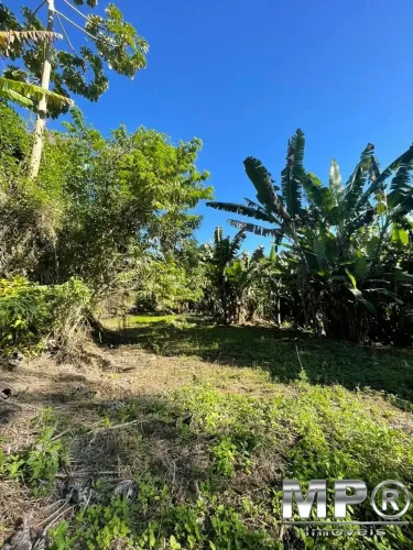Terreno para venda, São Pedro Da Serra, Nova Friburgo