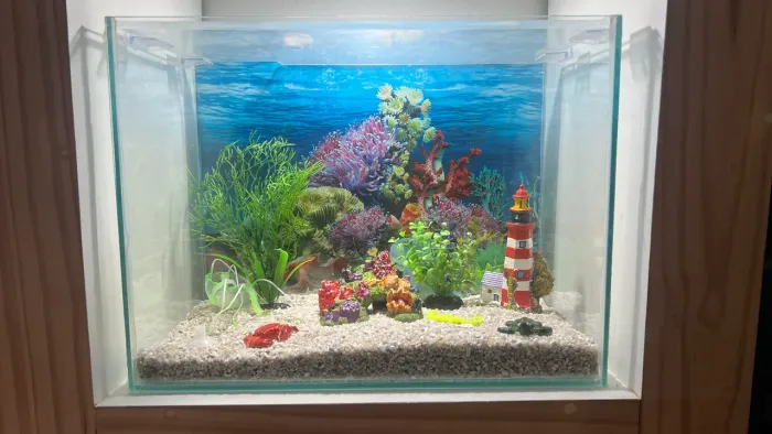 Aquário Completo Decorado para Peixes