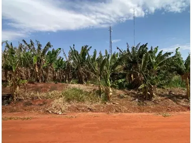 Terreno c/ 464m² em Bandeirantes/MS