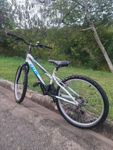 CALOI ARO 24