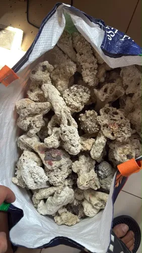Rochas para aquário marinho