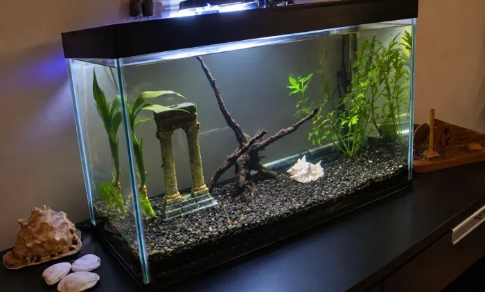 KIT DE AQUARIO DE VIDRO 45 LITROS COM FILTRAGEM E ACESSORIOS