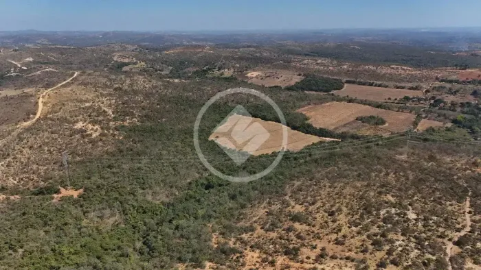 TERRENO RURAL AGRO codigo: 272146