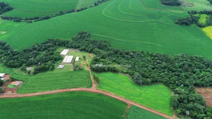 Chácara com 3 dormitórios à venda, 96800 m² por R$ 2.000.000,00 - São João do Oeste - Casc
