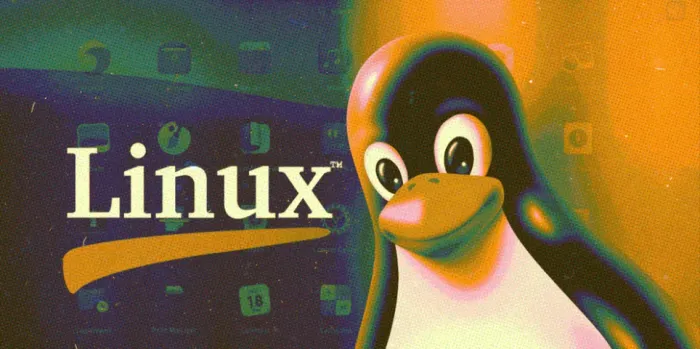 Assistência Técnica informática Linux