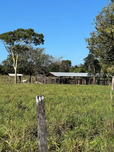 Fazenda a venda. A 30 km de Palmas. Entre Palmas e Porto Nacional-TO. 16,38 Alqueires.