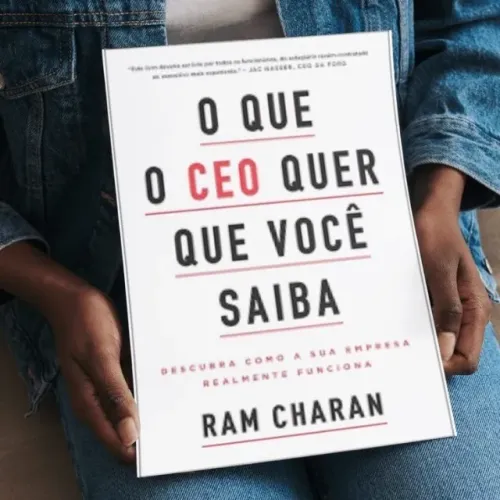 Livro empreendedorismo