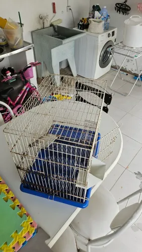 Gaiola para rato twister e semelhantes