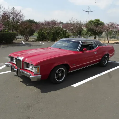 Ford Maverick Super Luxo Coupe V8 16V Gasolina 2P Manual 1973
