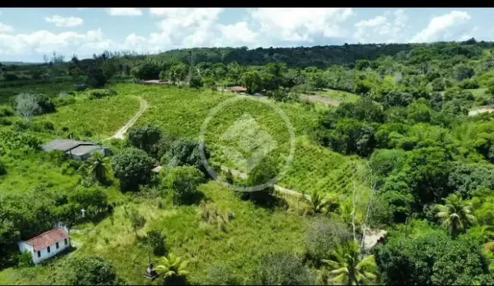 16 Hectares de verde. codigo: 365583