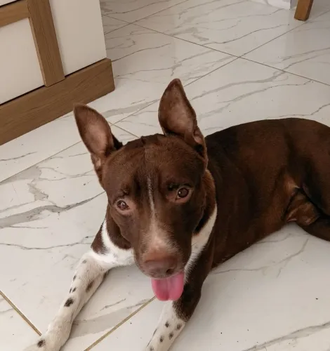 Doação 
