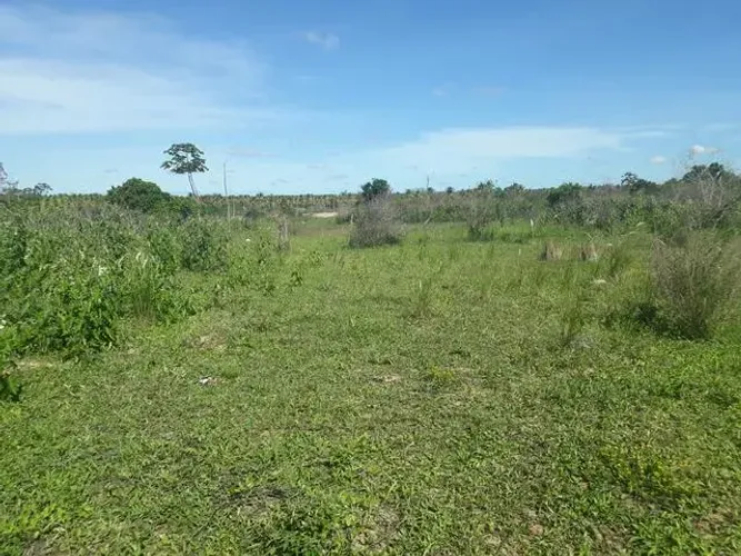 Excelente Fazenda com 320 hectares no córrego de São Mateus Município de boa saúde
